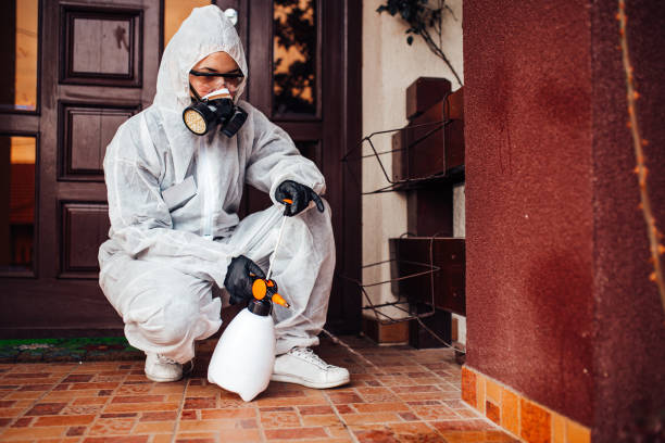 Reliable Ant Control contractor in Moapa Valley, NV by Nex Pest Control