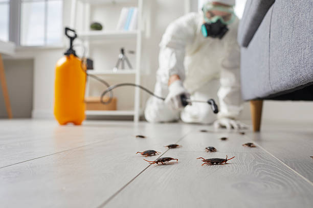 Trusted Fumigation Services service in Moapa Valley, NV - Nex Pest Control